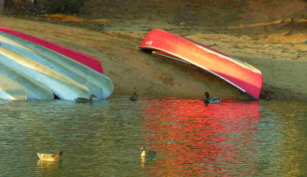 Ducks & red canoe - Tennessee