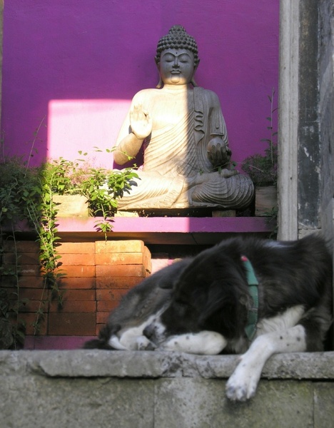  - Bali
