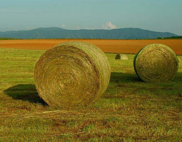 Haybails Tennessee - Tennessee
