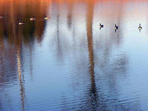  - Nature & Animals