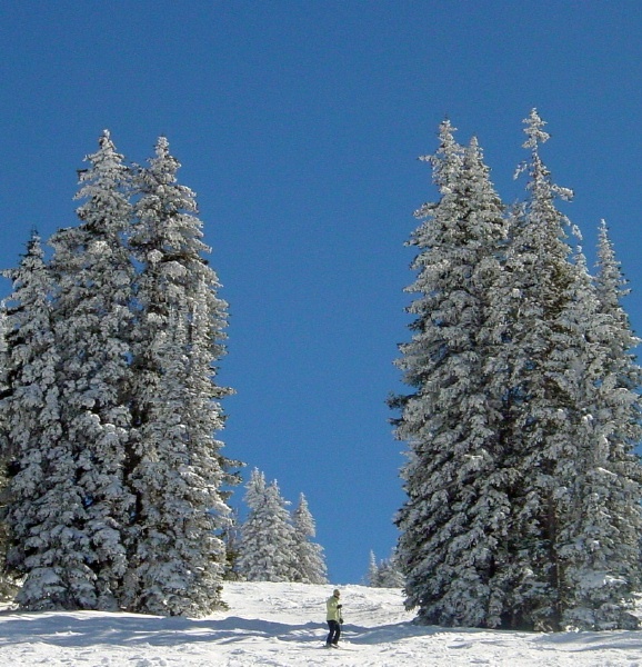Vail - Sky, Water, Land