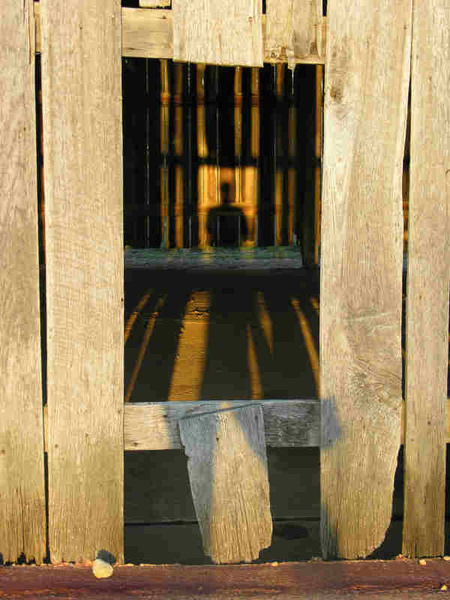 Barn Shadows - Tennessee