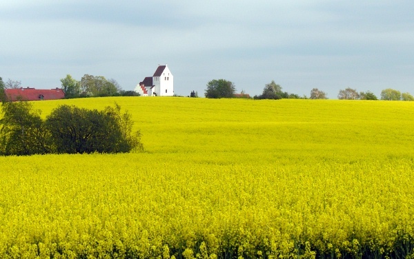 Danish church - Sky, Water, Land