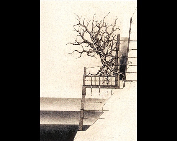 Tree/Machine Study - Between Earth and Sky
