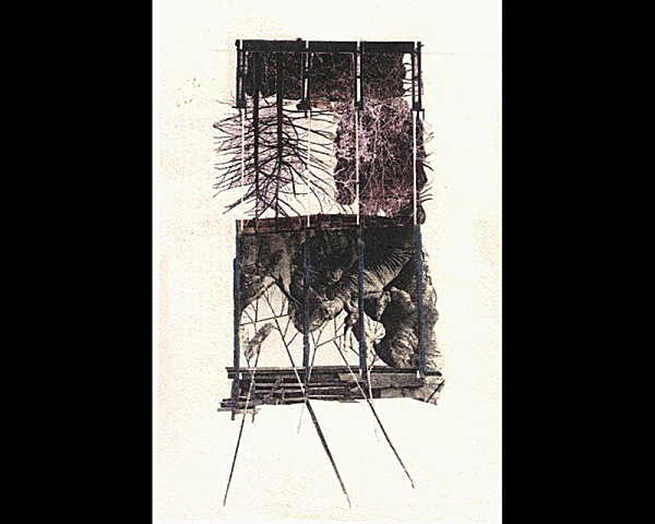 Subterranean Section - Between Earth and Sky