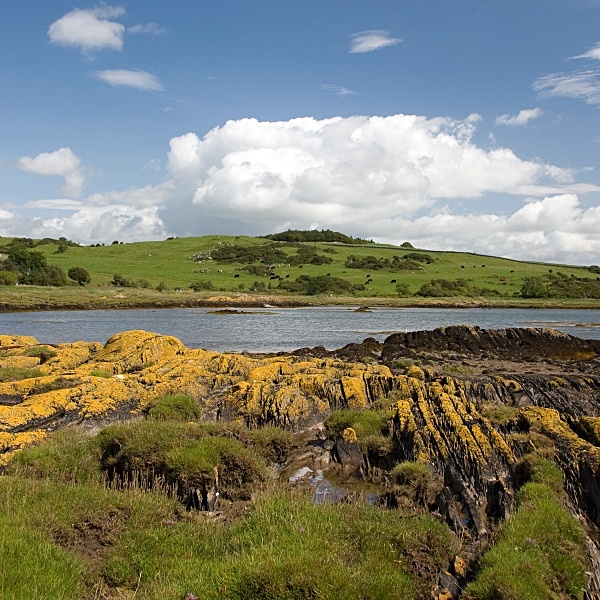 Kirkudbright - Landscapes