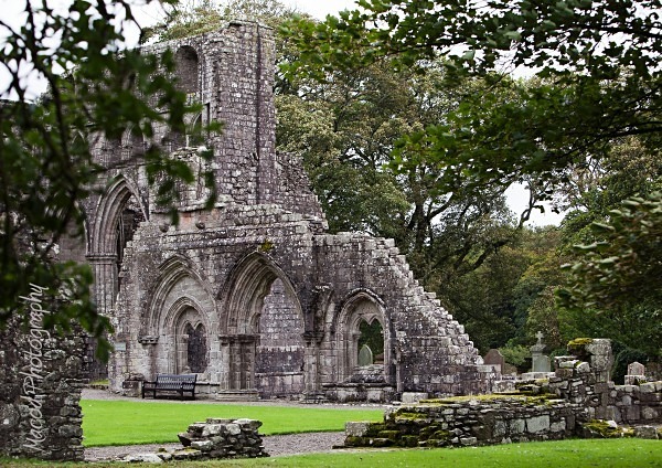 Dundrennan Abbey 2 - Landscapes