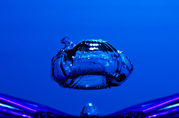 C39A5352 - Fun Pictures