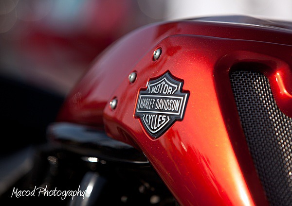 _MG_6311 - RT Car Show 2015