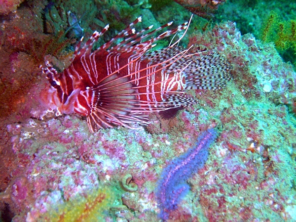  - Underwater