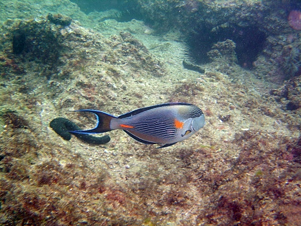  - Underwater