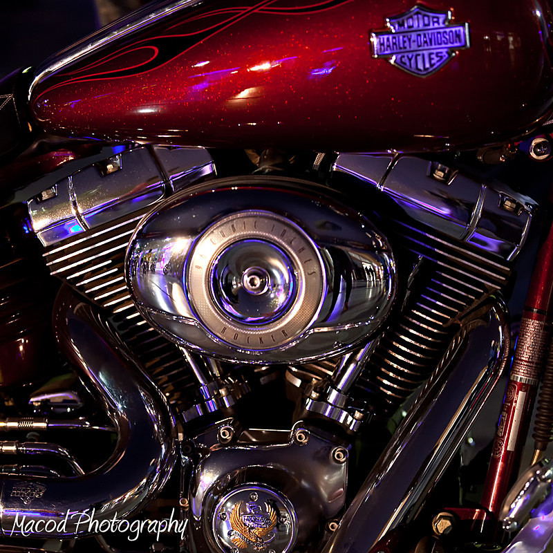RTBS 2019 04 - RT Bike Show 2019