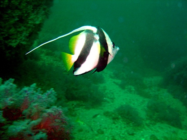  - Underwater
