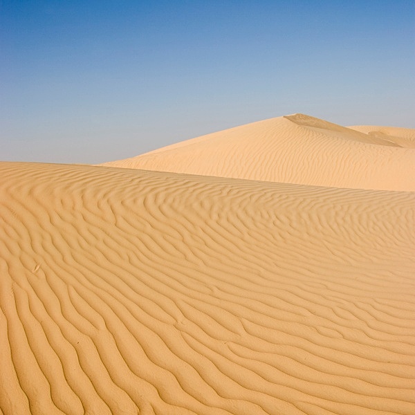 Dubai Sandscape 3 - Landscapes