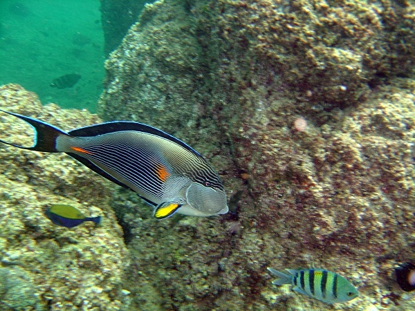  - Underwater