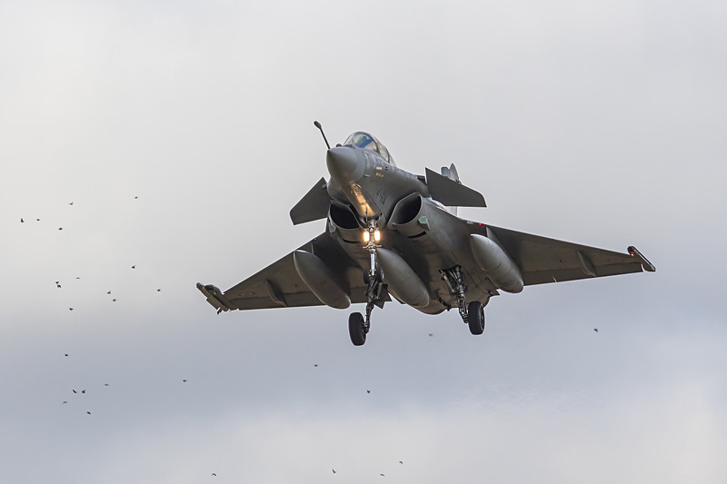 _J8A6073 copy - Cobra Warrior 25-1