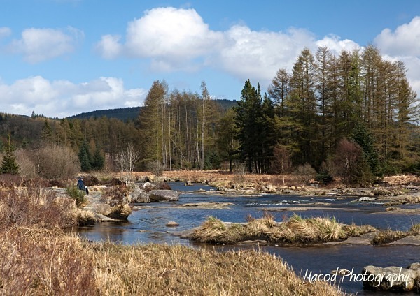 Galloway Forest - Scotland