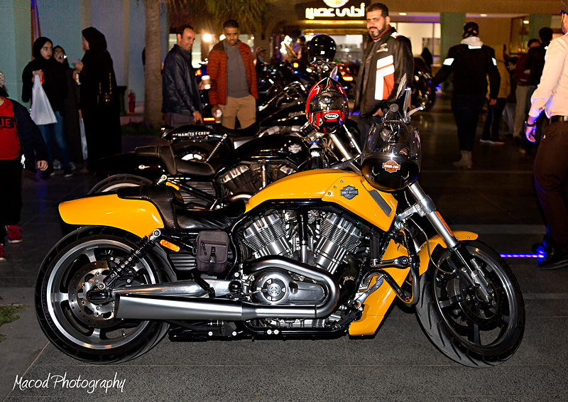 RTBS 2019 02 - RT Bike Show 2019