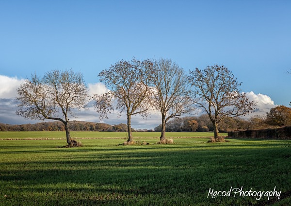 Lincolnshire Field - England