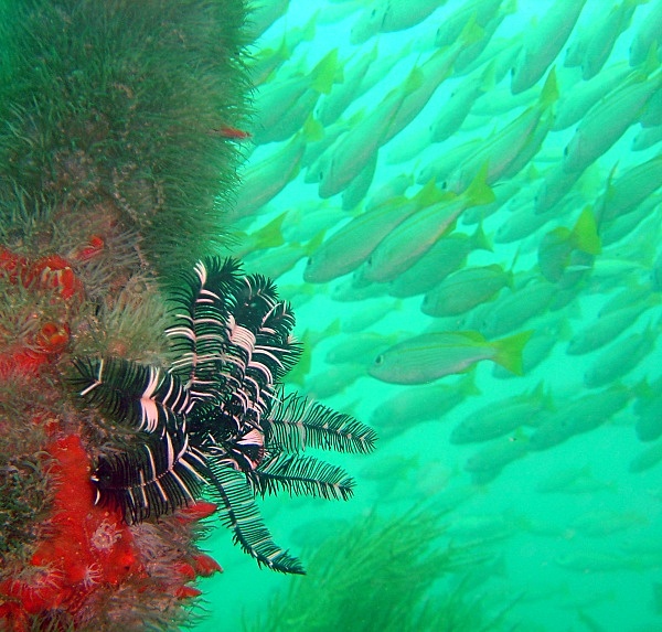  - Underwater