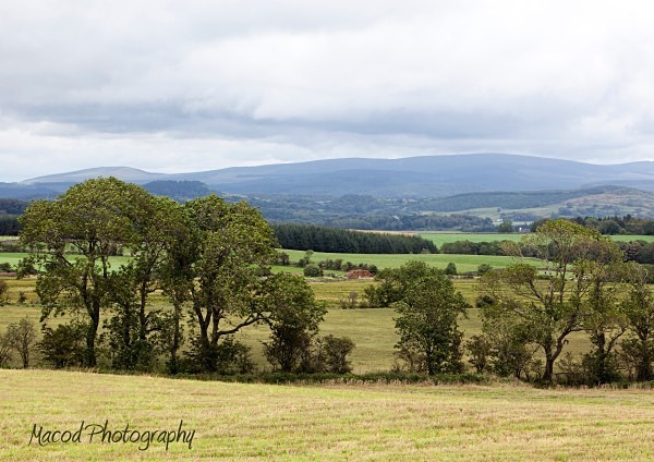 Scottish Landscape - Landscapes