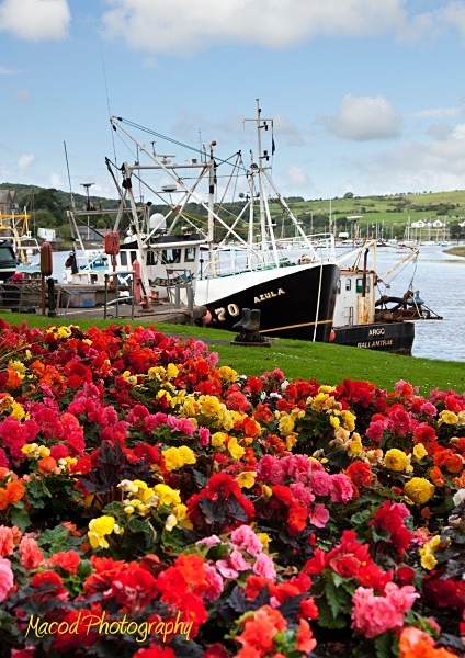 Kirkcudbright Harbour 1 - Landscapes