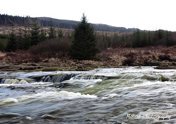Galloway Forest - Scotland