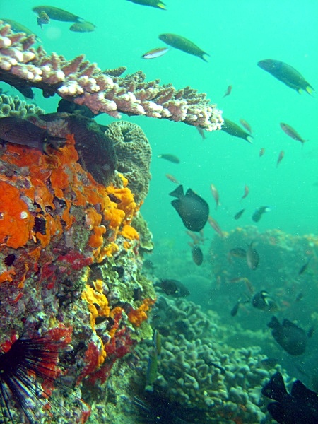  - Underwater