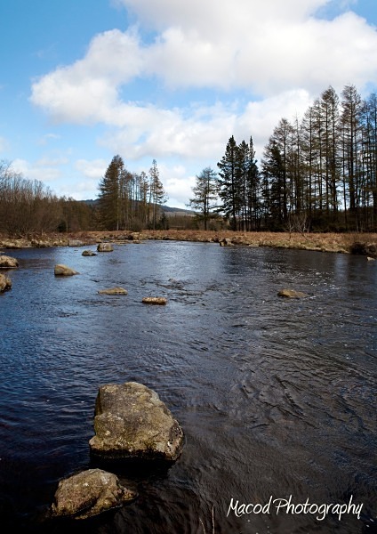 Galloway Forest - Scotland
