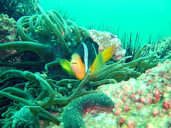  - Underwater