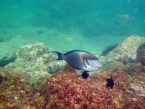 - Underwater