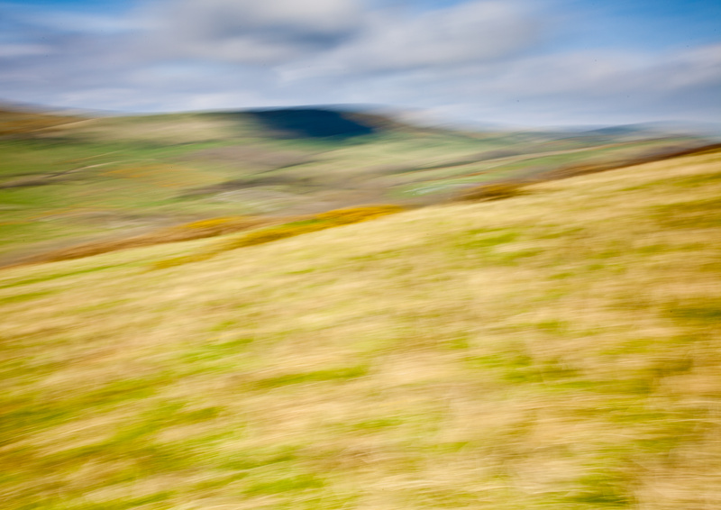 Gold Down - Landscape