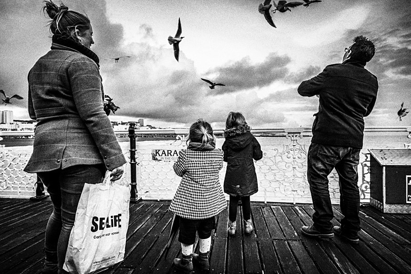 The Birds - Street
