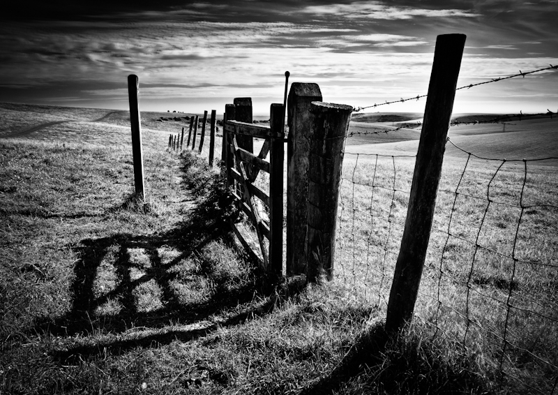 On the Escarpment - Landscape