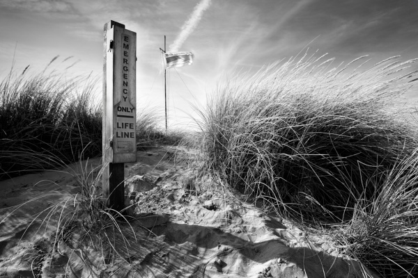 Life Line - Landscape
