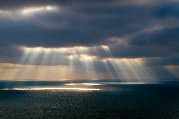 Falling Angels - Seascape