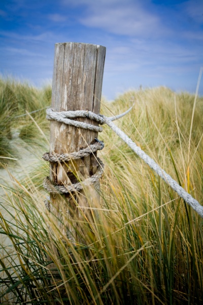 In the Dunes - Landscape