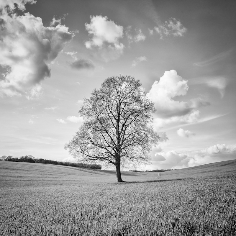 All On My Own - Landscape