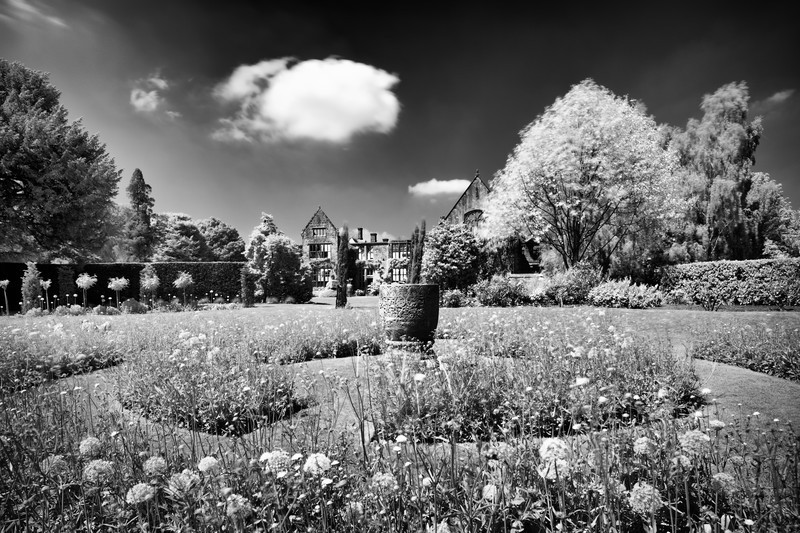 Nymans - Landscape