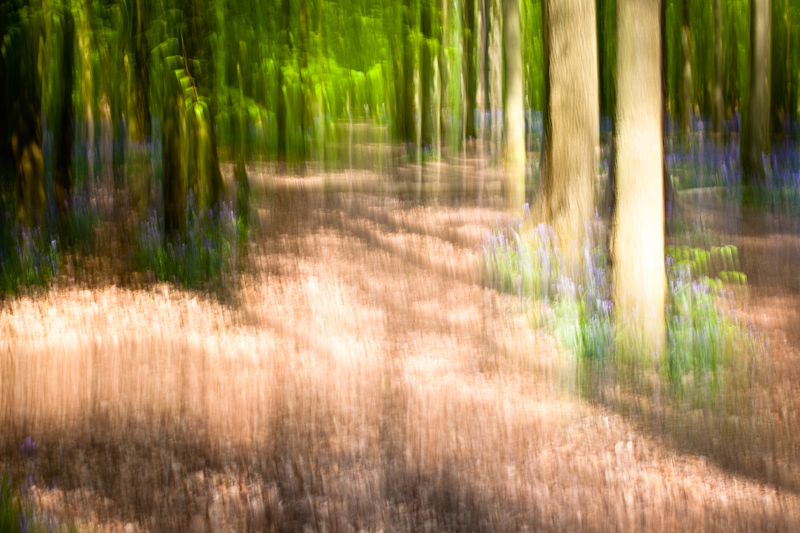 Ashridge Blur - Landscape