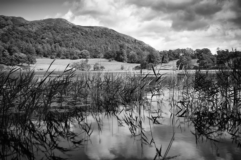 Loughrigg Tarn - Landscape