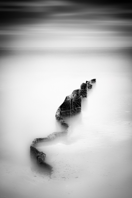 Sea Snake II - Time Slips By