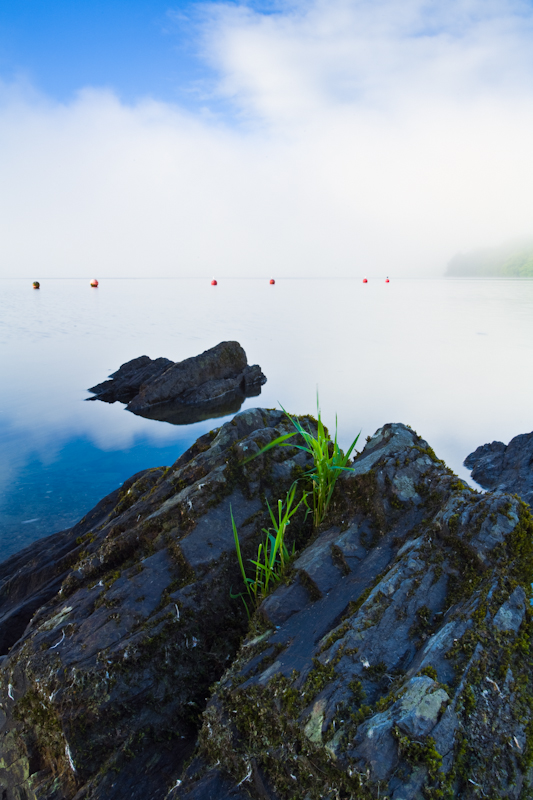 Rock Lives - Landscape