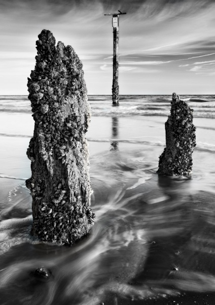 The Long and Short of It - Seascape