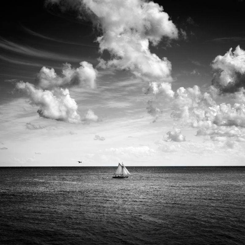 Follow that Boat - Seascape