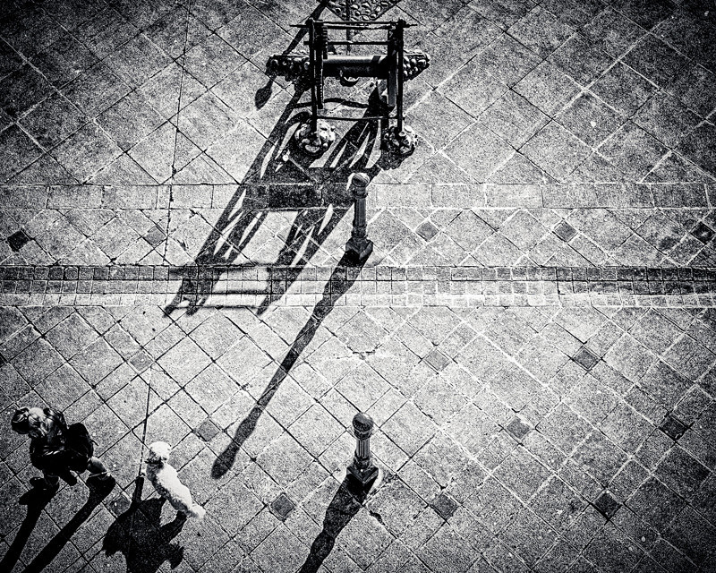 Out for a Walk - Street