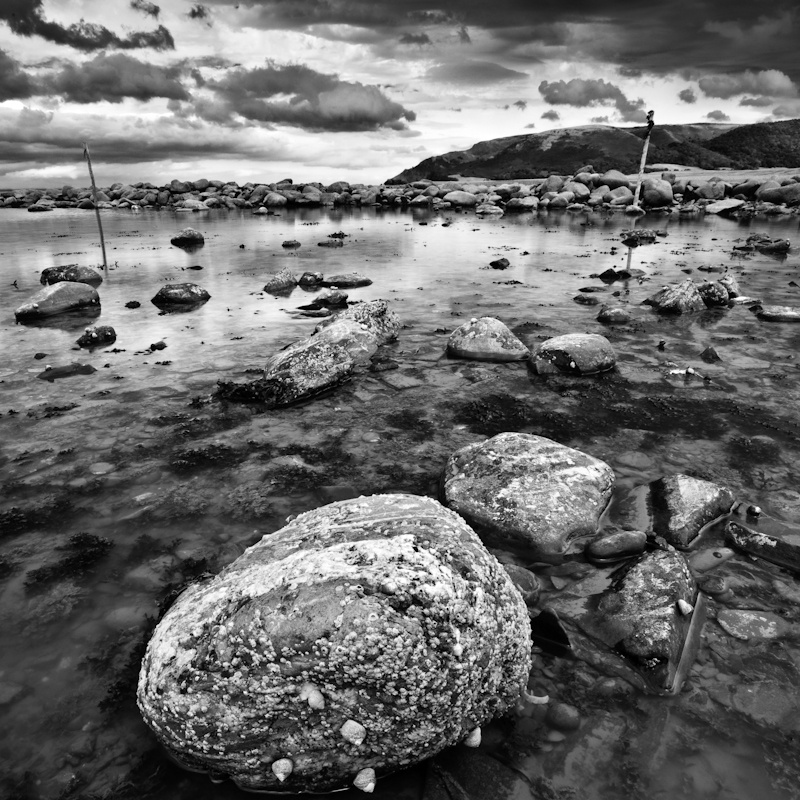 Bossington Hill - Seascape