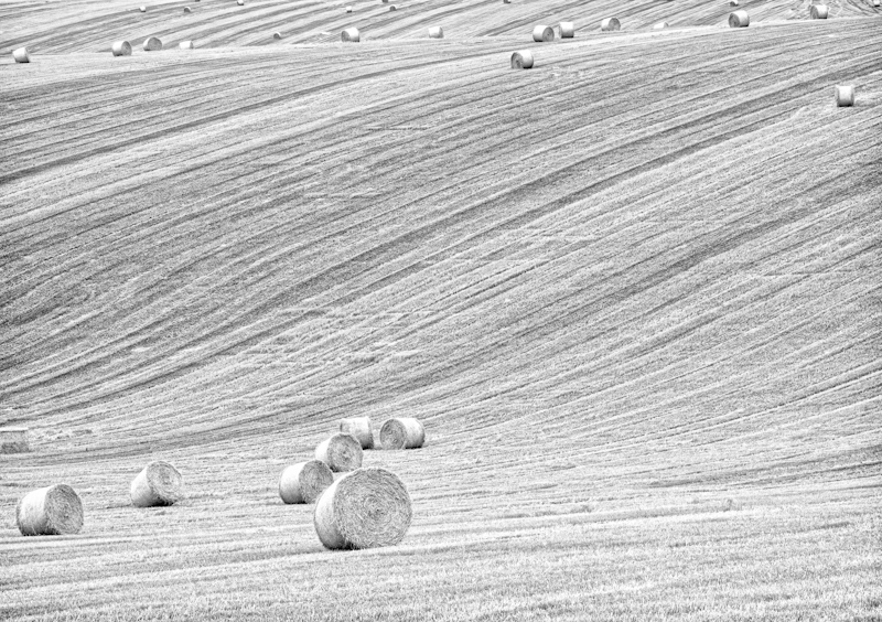 Just in Time - Landscape
