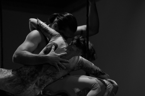  - Flying Dreams