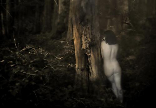  - Portfolio 1